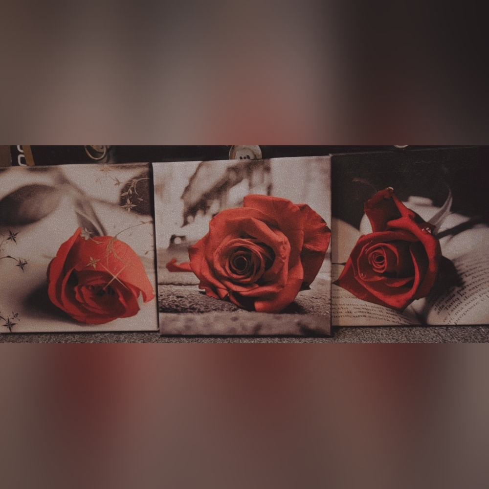 Three Rose Canvas Wall Art